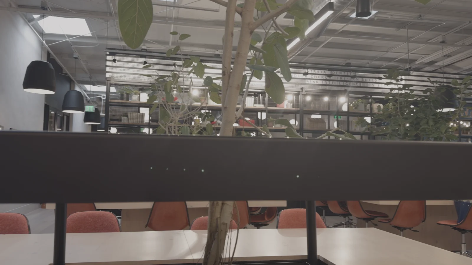 Airy on an office recorded in Apple Log