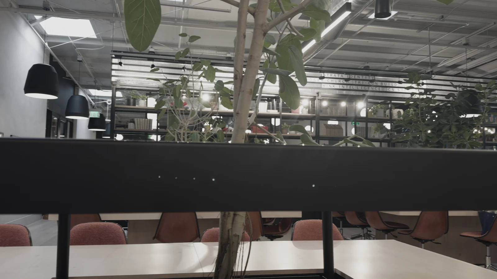 Bleach on an office recorded in Apple Log