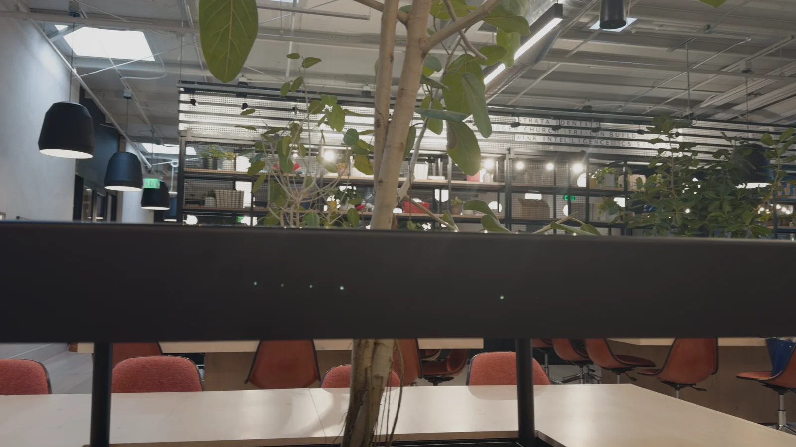 Vivid on an office recorded in Apple Log